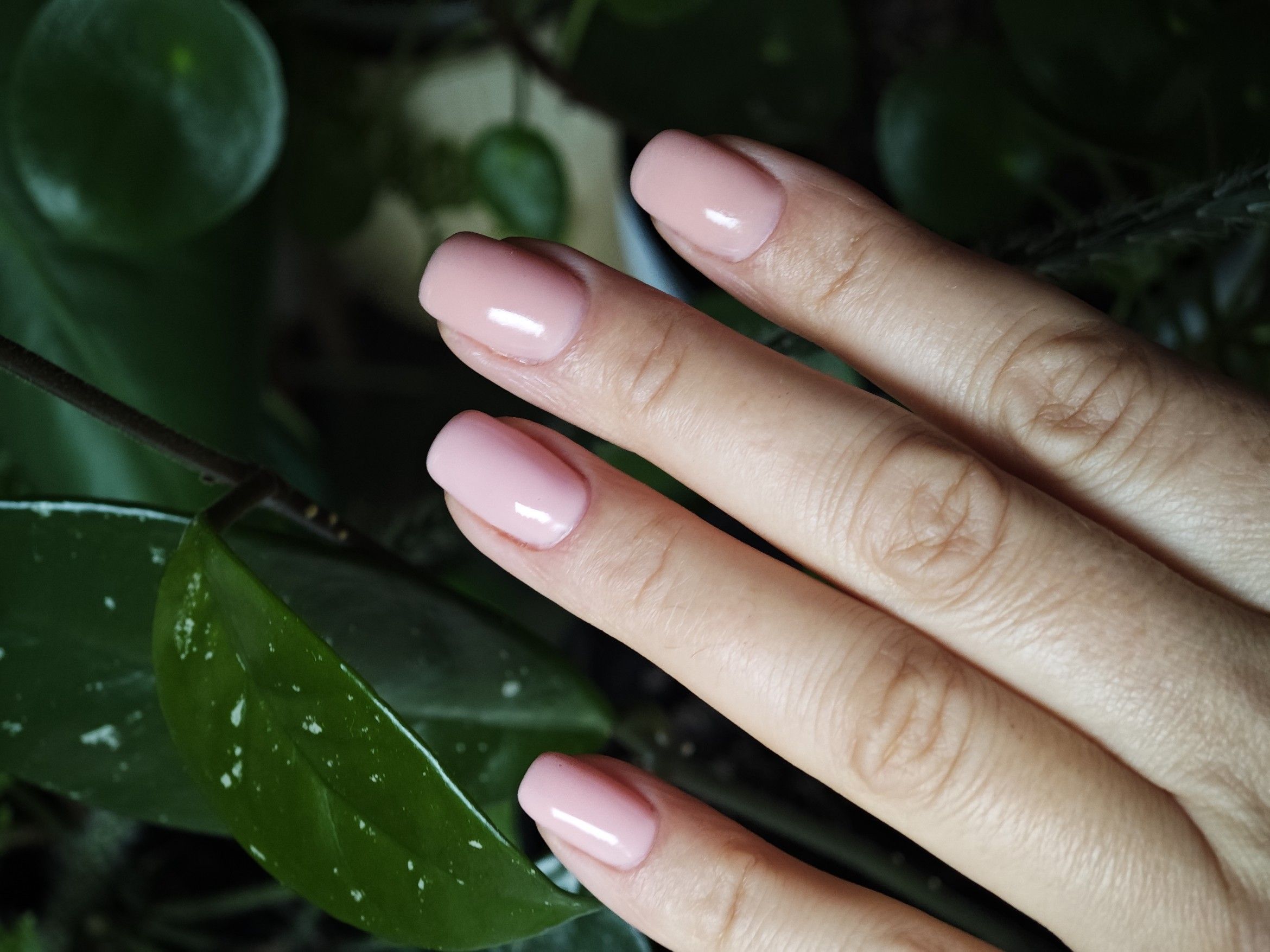 Dłoń z paznokciami w delikatnym odcieniu nude o gładkim połysku, prezentująca subtelny i elegancki manicure